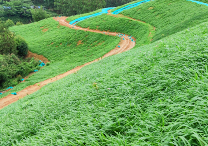 南嶺國家公園環(huán)丹霞山片區(qū)生態(tài)環(huán)境系統(tǒng)保護(hù)修復(fù)工程（湞江區(qū)煤矸石礦區(qū)遺址生態(tài)環(huán)境修復(fù)治理）設(shè)計(jì)、施工總承包
